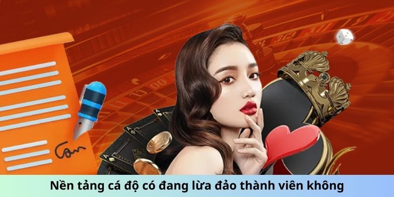 Nền tảng cá độ có đang lừa đảo thành viên không