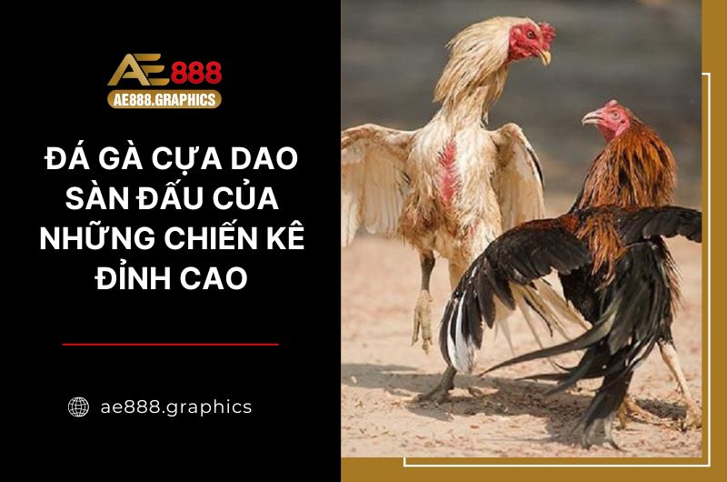 đá gà cựa dao