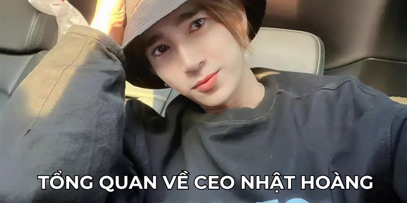 Tổng quan về CEO Nhật Hoàng