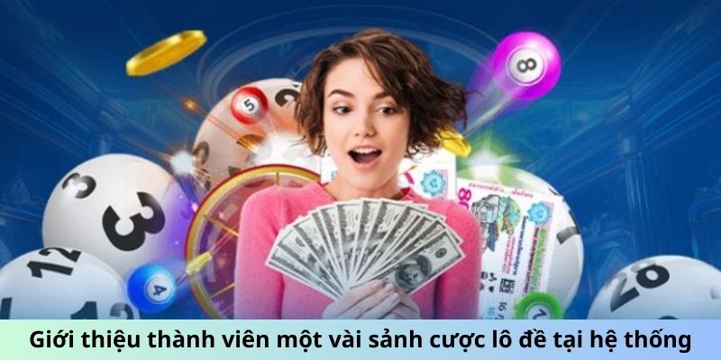 Giới thiệu thành viên một vài sảnh cược lô đề tại hệ thống